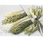 DIY - Droogboeket naturel/wit "Wild Heaven"