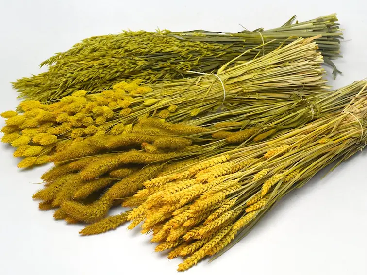 DIY - droogbloemen mix "geel"