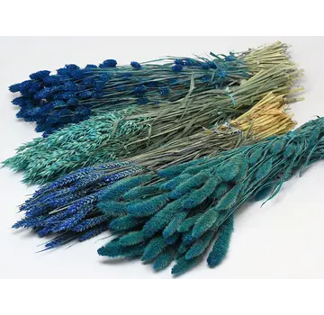 DIY - droogbloemen mix "blauw"