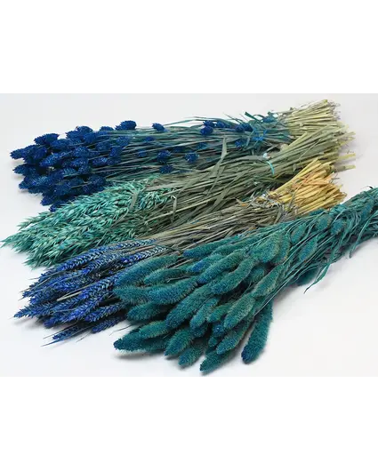 DIY - droogbloemen mix "blauw"
