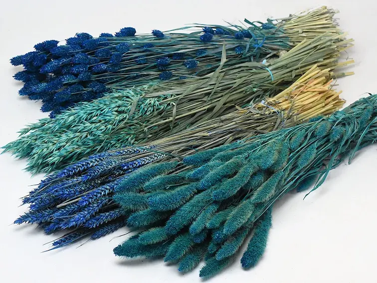 DIY - droogbloemen mix "blauw"