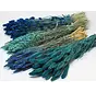 DIY - droogbloemen mix "blauw"