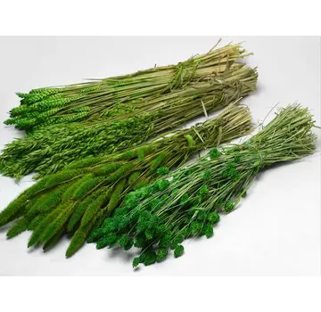 DIY - droogbloemen mix "groen"