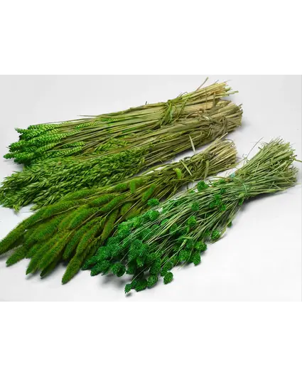 DIY - droogbloemen mix "groen"