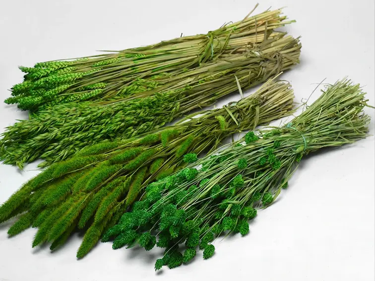 DIY - droogbloemen mix "groen"