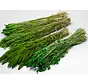 DIY - droogbloemen mix "groen"
