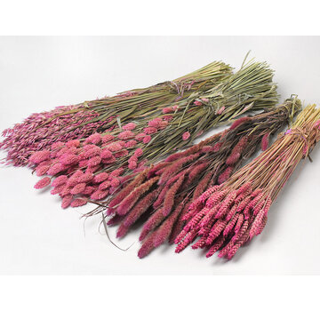 DIY - droogbloemen mix "roze"