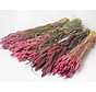 DIY - droogbloemen mix "roze"