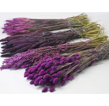 DIY - droogbloemen mix "paars"