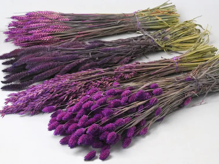 DIY - droogbloemen mix "paars"