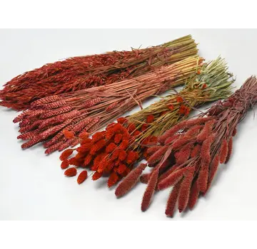 DIY - droogbloemen mix "rood"