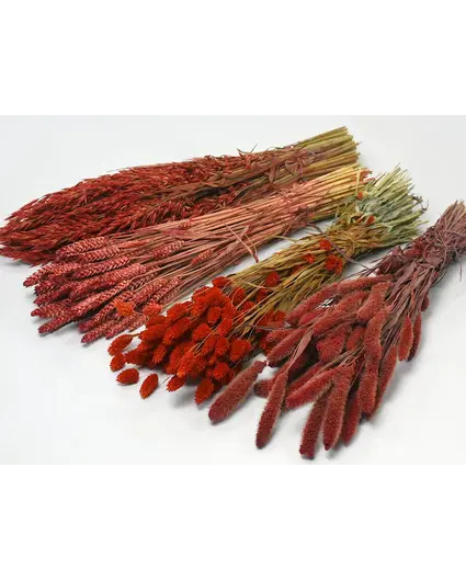 DIY - droogbloemen mix "rood"