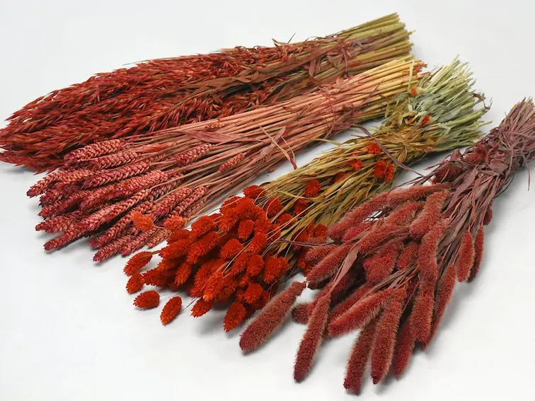 DIY - droogbloemen mix "rood"