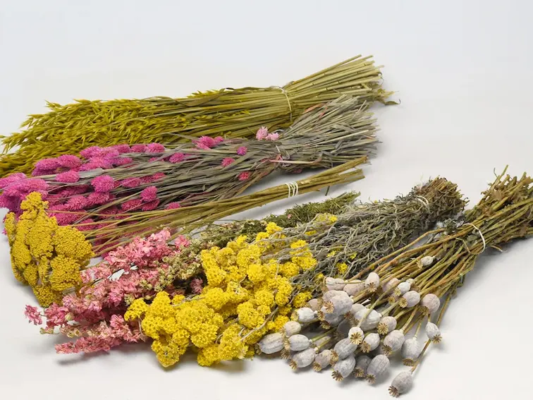 DIY - Droogboeket geel/roze "Yellow Kiss" - geel/roze