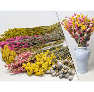 DIY - Droogboeket geel/roze "Yellow Kiss" - geel/roze