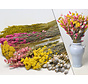 DIY - Droogboeket geel/roze "Yellow Kiss" - geel/roze