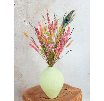Droogbloemen boeket "Tropical Jungle" | 40cm - inclusief vaas