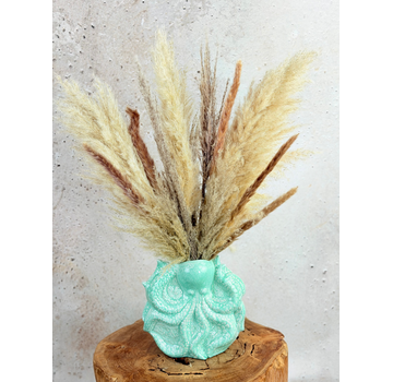 Pampas boeket "Mola Mola" | 50cm