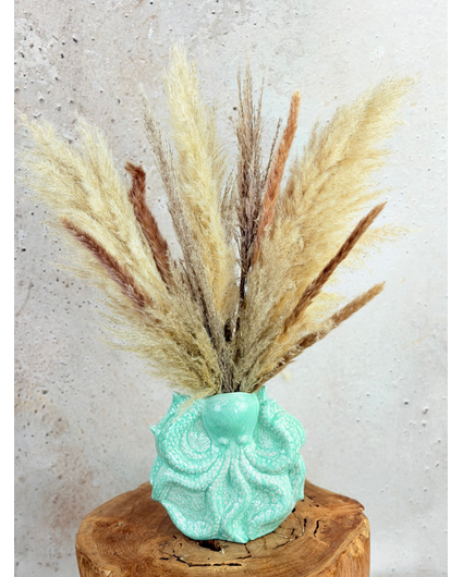 Pampas boeket "Mola Mola" | 50cm