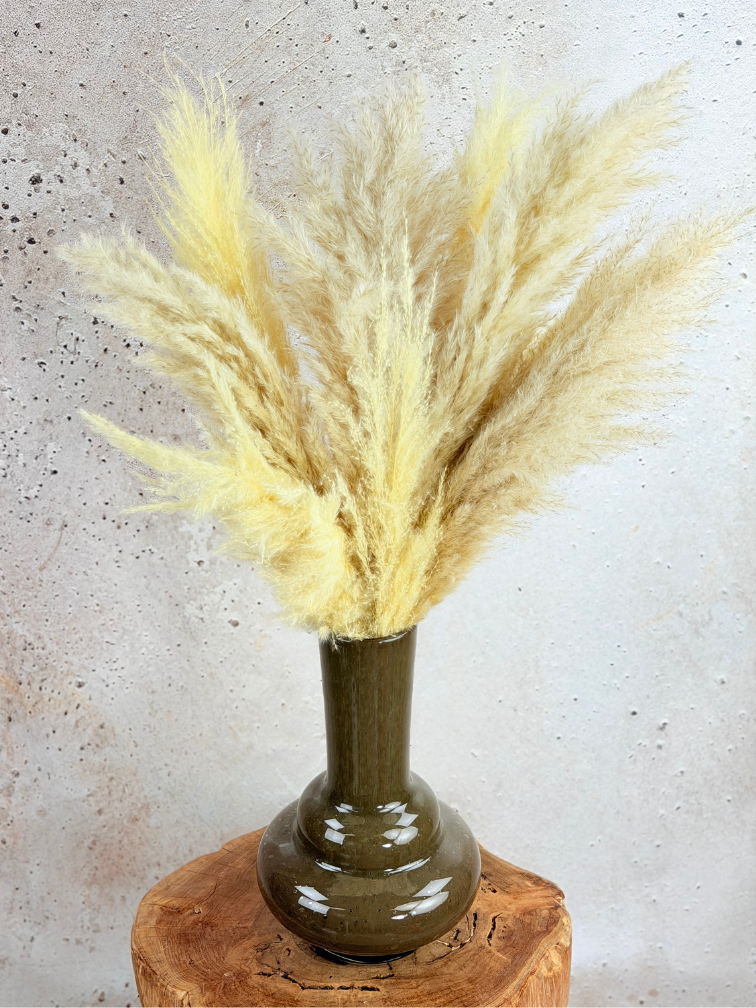 Droogbloemen boeket "Cloudy Dream" | 80cm