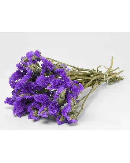 Statice Sinuata 'paars'