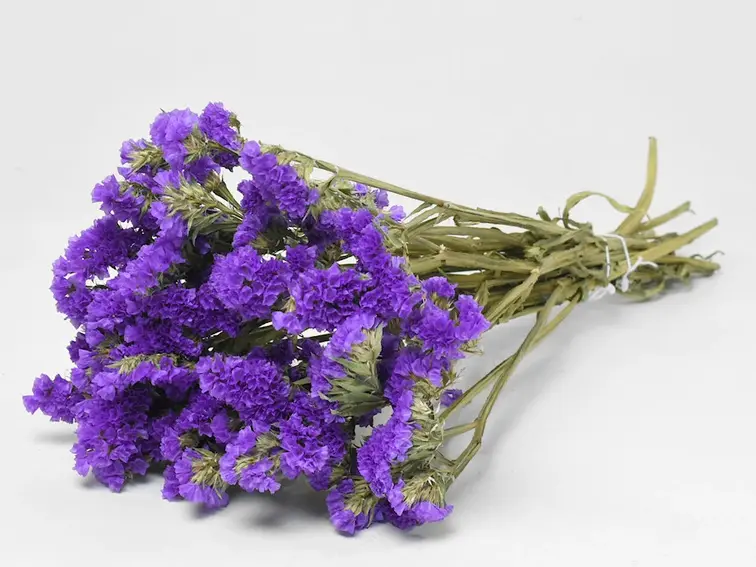 Statice Sinuata 'paars'
