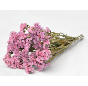 Statice Sinuata 'roze'