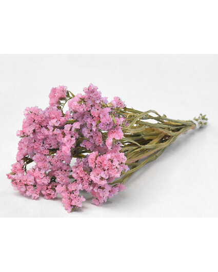 Statice Sinuata 'roze'
