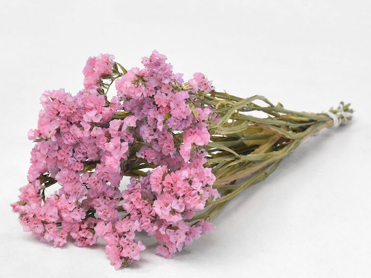 Statice Sinuata 'roze'