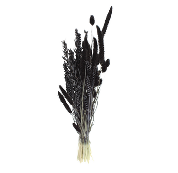 DIY - droogbloemen mix "zwart"