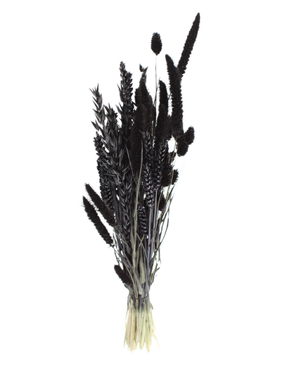 DIY - droogbloemen mix "zwart"
