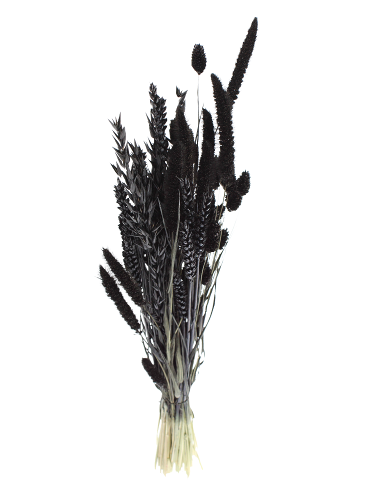 DIY - droogbloemen mix "zwart"