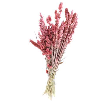 DIY - droogbloemen mix "frosted pink"