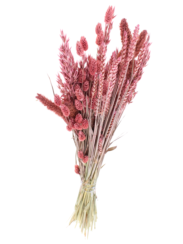 DIY - droogbloemen mix "frosted pink"