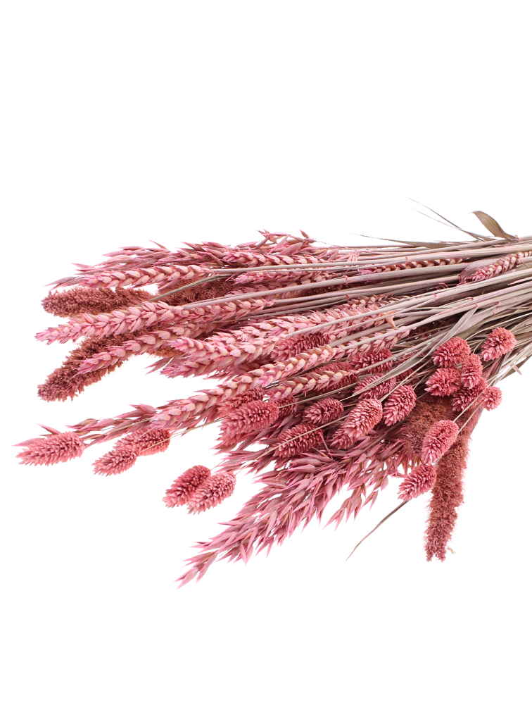 DIY - droogbloemen mix "frosted pink"