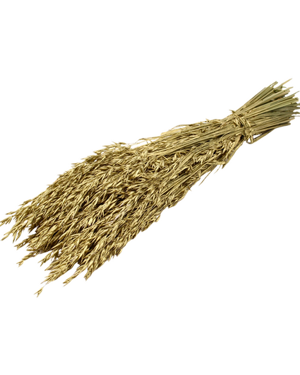 Haver 'goud' | gehele bos
