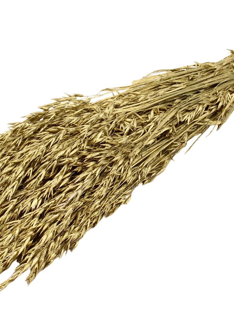 Haver 'goud' | gehele bos