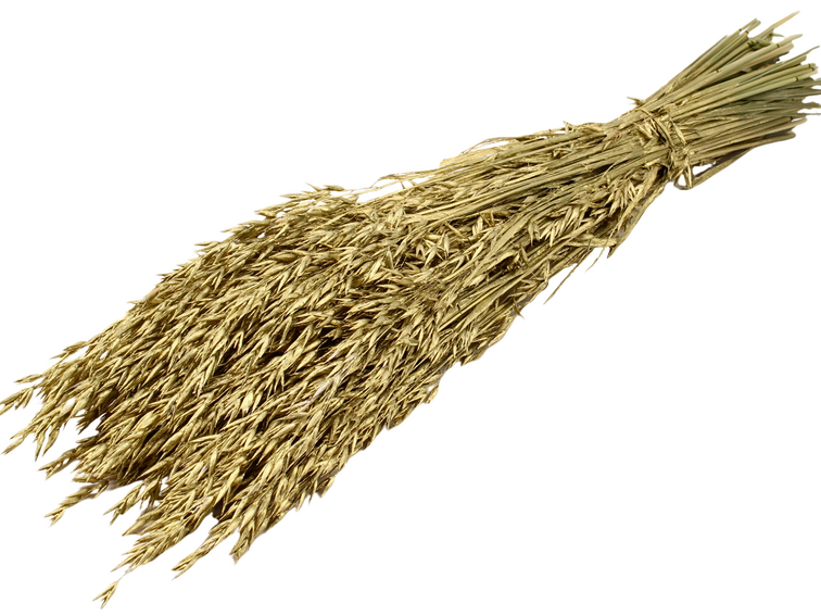 Haver 'goud' | gehele bos