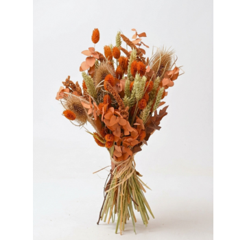 Veldboeket droogbloemen "Orange Clover"| 55cm