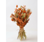 Veldboeket droogbloemen "Orange Clover"| 55cm