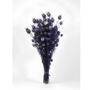 Nigella 'paars' | gehele bos