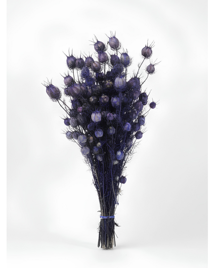Nigella 'paars' | gehele bos