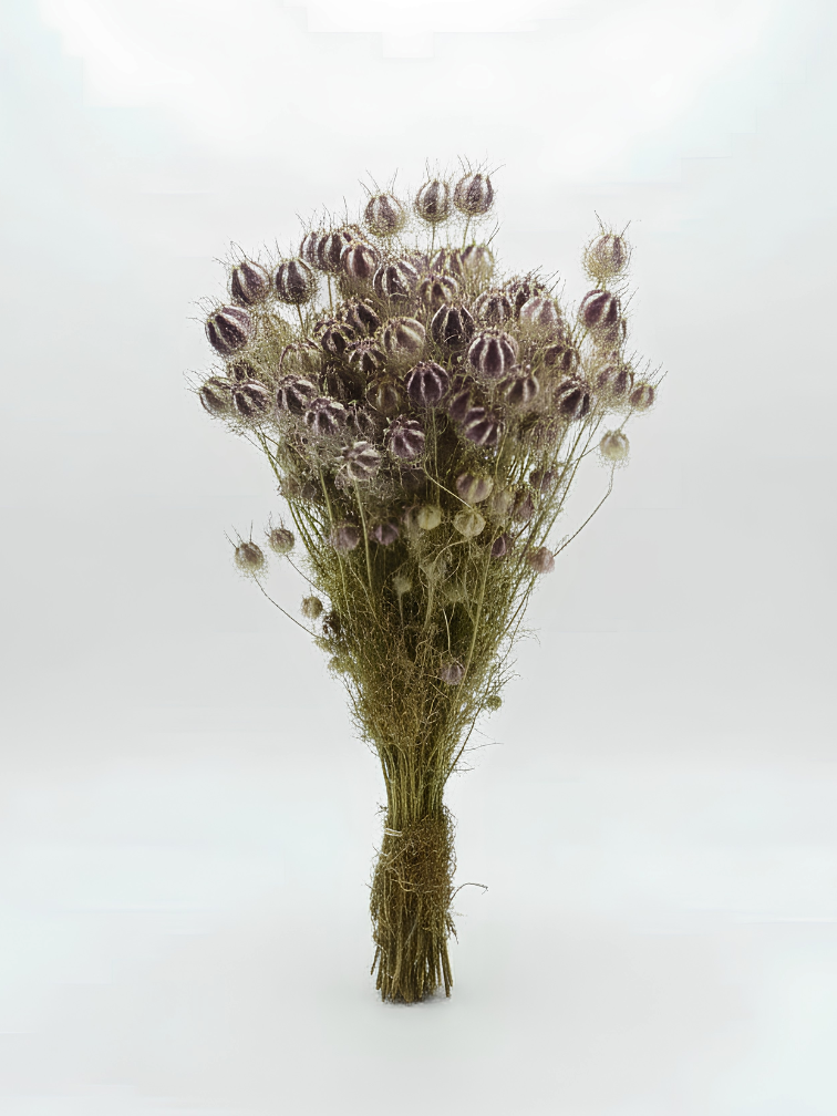 Nigella 'naturel' | gehele bos