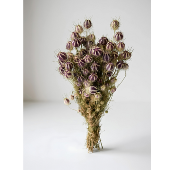 Nigella 'naturel' | gehele bos