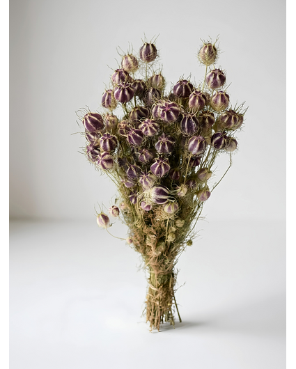 Nigella 'naturel' | gehele bos