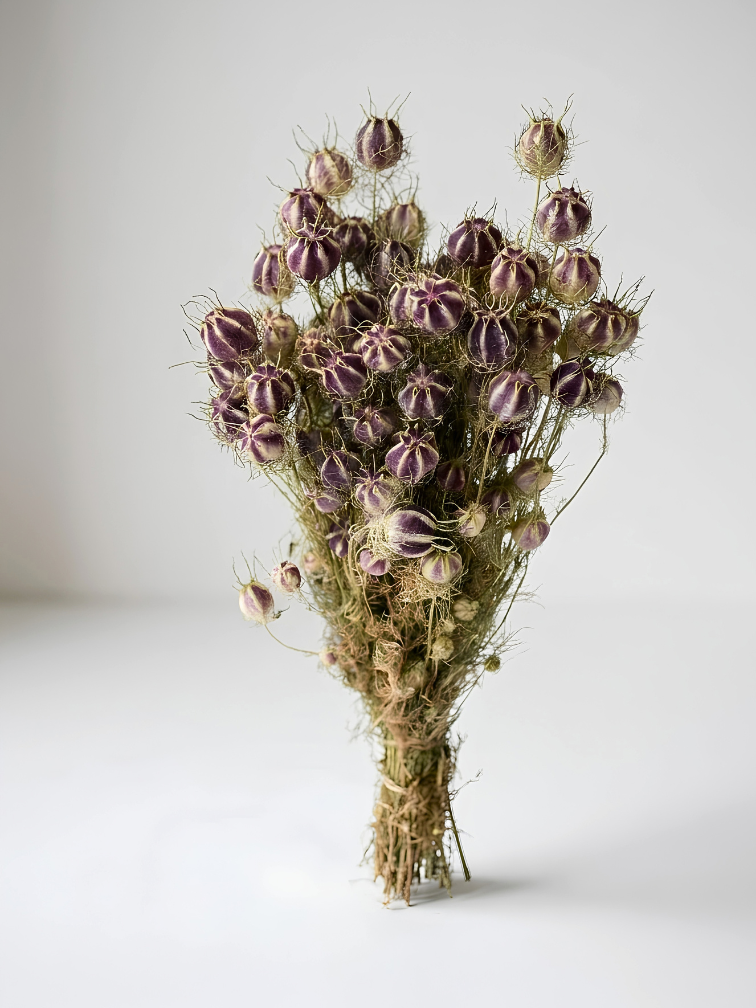 Nigella 'naturel' | gehele bos