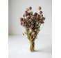 Nigella 'naturel' | gehele bos