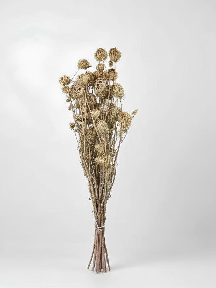Venkel 'naturel' | gehele bos