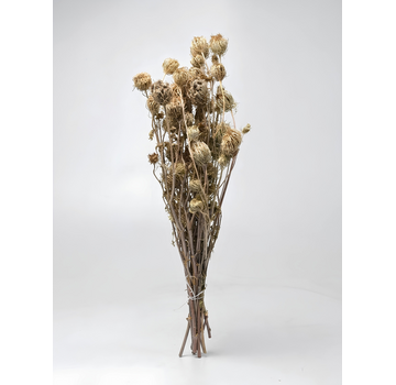 Venkel 'naturel' | gehele bos