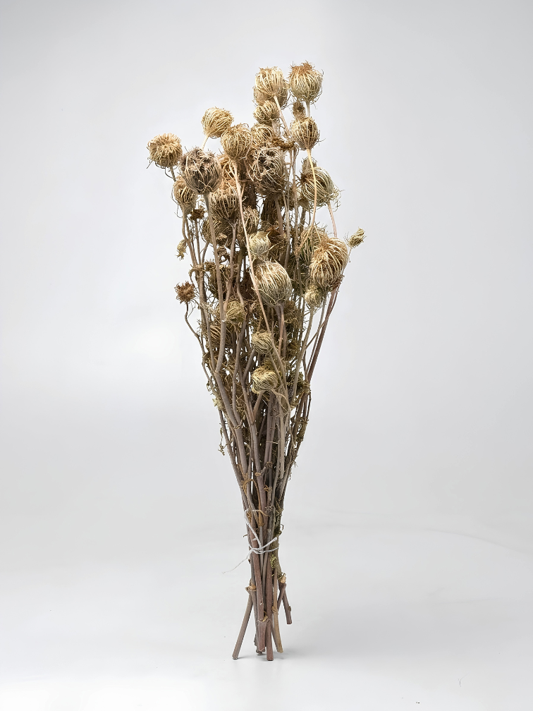 Venkel 'naturel' | gehele bos